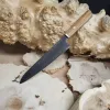 Кухонний шеф-ніж Gyuto 21 см VG10 із дамаської сталі з руків'ям з оливкового дерева