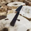 Кухонний ніж Gyuto 20,5 см з руків'ям з американського горіха